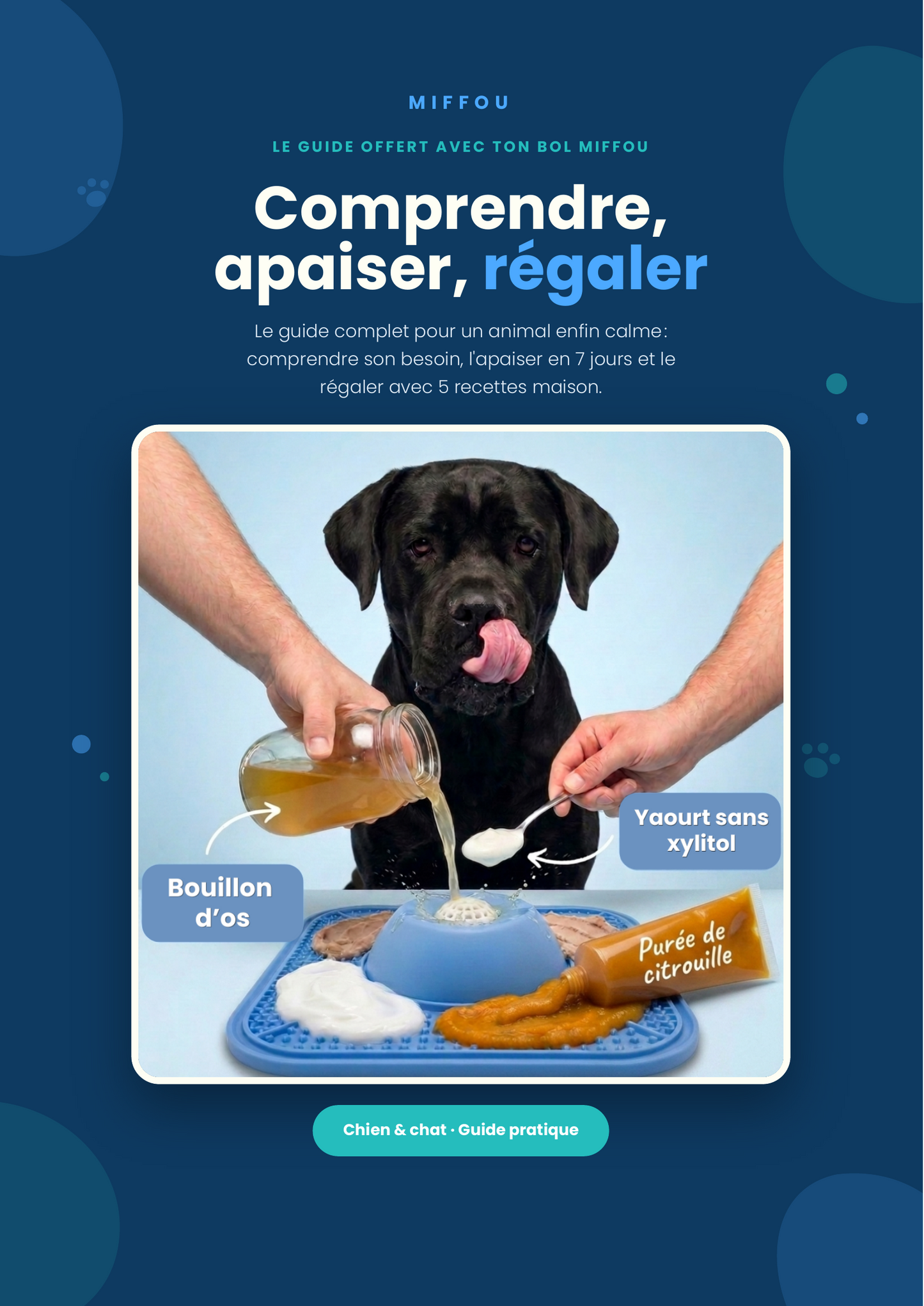 « Guide Miffou - Comprendre, apaiser, régaler »