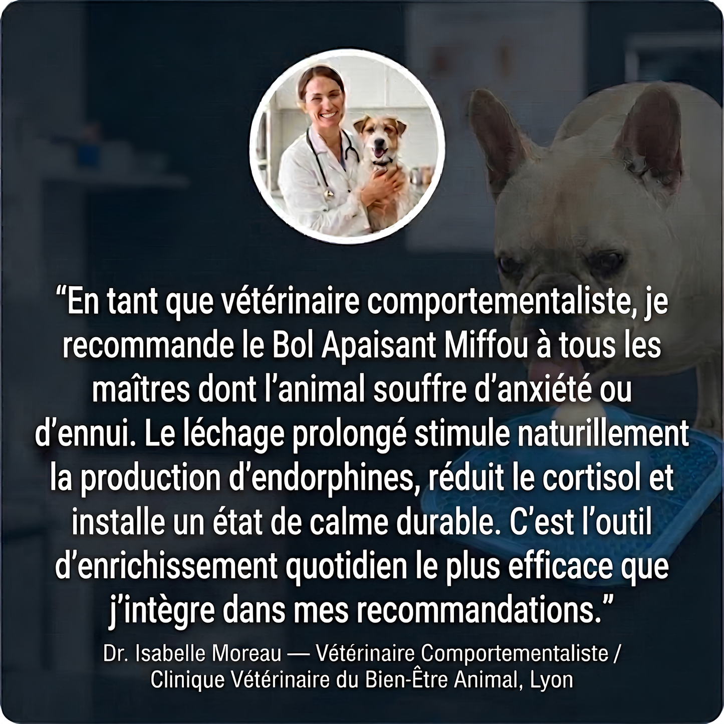 Bol Apaisant Miffou - Apaisez enfin votre animal anxieux et hyperactif